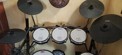 Module son avec cablage DM10 Pro. Peaux Alesis origine. 1 pad grosse caisse. 1 paire baguettes neuves. 1 siège tout...