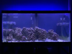 This listing is local pickup only for a 90 gallon tank and metal standThe silicone on the tank is in perfect condition...