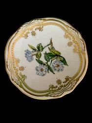 SPODE~STAFFORD FLOWERS~DEMITASSE SAUCERS-OXALIS & DIPTERACANTHUS.