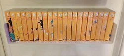 Manga Dragon Ball Double 21 Tomes collection complète intégrale édition Glénat.