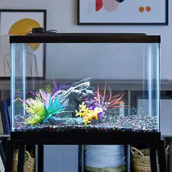 Instantly brighten up your tank with the Culture 20 Gallon Fish Tank Hood with LED Light. The LED bulb is long lasting,...