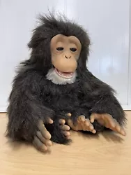 Cuddle Chimp has been all cleaned and tested. Everything appears to work just fine! Poor guy is missing an ear though...