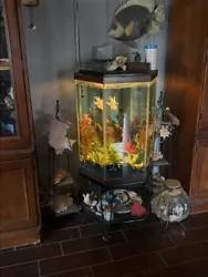 Aerator, iron stand and all the contents inside. 55 gallon hexagon fish tank with filtering system. It’s been...
