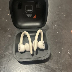 Beats by Dr. Dre Powerbeats Pro Earhook True Wireless Earbud.