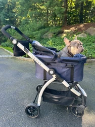 Pet Stroller for small to medium sized pets - 4-wheel with 360-degree movement. In very good condition. Classic,...
