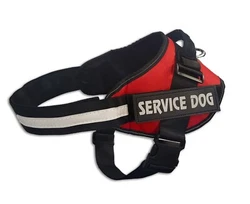 Service Dog Harness Vest Kit (Choose Your Size). 50 ADA Information Cards.