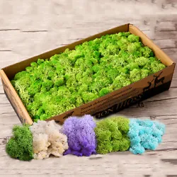 This moss is reindeer moss that has been preserved with glycerine to keep it soft and supple to work with. It does not...