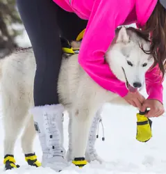 This MULTIGRIP material is breathable and non-allergenic for no irritation. The Neewa Snow Dog Boots are perfect for...