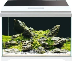 Eclairage complet par LED de 11 watts avec des LED blanches, rouges et bleues. Débit réglable avec un débit maximum...