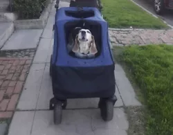pet stroller for medium dogs.