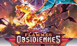 Envoie rapide, soigné et protégé.