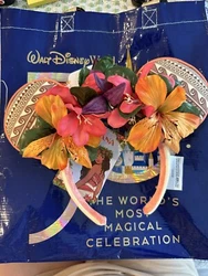Disney parks 2023 Moana Ears Headband. See picturesNo refunds