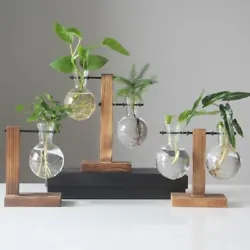 (Style: Hydroponic Plant Transparent Vase. 1 x Hydroponic Plant Transparent Vase. Which style do you prefer?. Product...