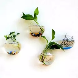 You can hang the glass vase in the bedroom, living room, office. Only Hanging Glass Vase. Mininature crafts as shown in...