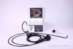 Resolution :440,000 pixels Veterinary Endoscope, Fully Waterproof, Ergonomical handle! See the arytenoids and...