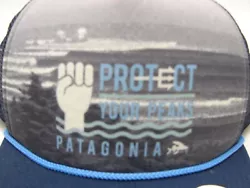 2019 Patagonia protect your peaks truckers hat.