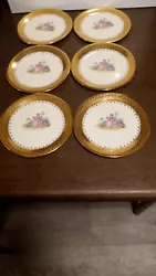 Eastern China Taylor Smith Taylor Luncheon Plates. Garden design. 22k warranted  gold trim. Near mint condition almost...