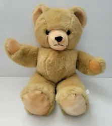 Vtg Stuffed Teddy Bear 19
