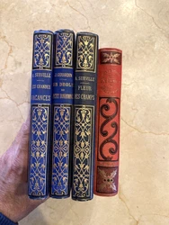 La chasse au météore, Jules Verne, Collection Hetzel, Illustrations par George Roux, les Voyages extraordinaires. Les...