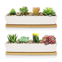 【High Quality】These succulent pots adopting High temperature ceramic to make sure the most stable, strongest and...