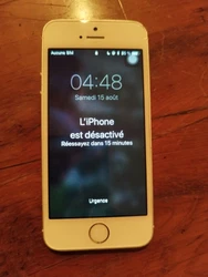 Bonjour  Vends Iphone 5s. Très bon état et écran fonctionnel. Bloqué icloud.  Vendu comme HS.  Acheté dans un lot,...
