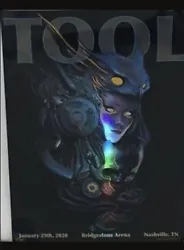 Tool Concert Poster Nashville, TN Adi Granov 1/29/2020. Poster comes as is no frameNot signed but in great shape