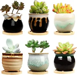Suitable for all succulent, herbs and cactus,small plants and flowers. It can grow succulent plants, cactus, aloe,...