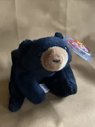 Ty Beanie Baby Blackie The Bear Ultra Rare, PVC Pellets,Tag Errors, Mint!.