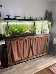 125-gallon fish tank aquarium. Includes lights, heater, filter, and stand. I am moving and need to sell.