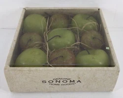 Add warmth to your home with the Sonoma Fall Apples Floating Candles. These candles come in a set of nine and each...
