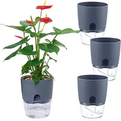 🌷【SELF WATERING POTS】Do you love growing plants in the house but often forget to water them?. Our self watering...