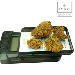 Take your 420 decor to the next level with luxurious artificial marijuana plants from Faux20. Our products are...