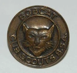 A great Cub Scout collectible pin to add to your collection.