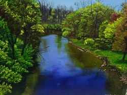 Spring leaves adorn the trees, revealing natures glorious transformation in progress.