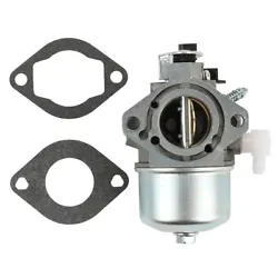 Remplace OEM P/N:699831 694941. Briggs & Stratton 283702 283707 284702 284707 284777 286702 286707 289702 289707 28D702...