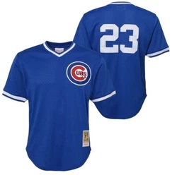 Authentic MLB Baseball Jersey. Stitched on front team customization and stitched on 23 on the back.