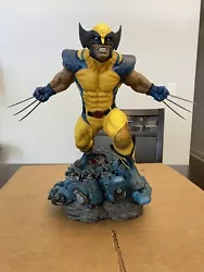 This was the exclusive version, but ONLY the masked head is included. I picked up another Wolverine and don’t need...