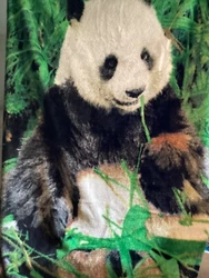 Vintage Plush Panda Leaf Blanket Multi Color Reversible 47”x 74”Fleece WildlifeIn excellent condition! ….NO rips...