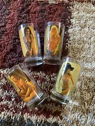 1970s Vintage Nude Women Glassware Set. 4 glasses nude women with clear clothing overlay. Estimated production 1970s