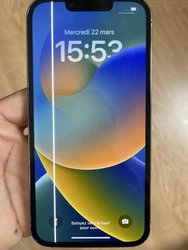 Apple iPhone 13 Pro 128 Go - Graphite - 100% FONCTIONNEL - Écran HS - NO ICLOUD. iPhone 13 Pro parfaitement...