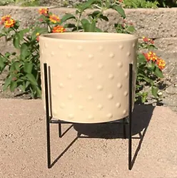 Textured Ceramic Beige Tan Succulent Pot Small Planter with Plant Stand Leg Feet. Faux plant for example purposes only....
