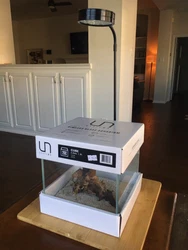 Everything you see is included, and it’s all brand new. Never used. -Ultum Systems high clarity 2.1 gallon cube tank...