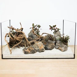 Un ensemble de décoration complet pour votre Aquarium années 60 54 L 60x30x30 Un bel ensemble complet et sans soucis...