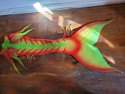 Tail is being SOLD AS IS.
