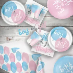 Gender Reveal Baby Shower Party Tableware. 8 x Invites and Envelopes. 8 x Latex Balloons, 4 of each colour 11