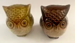 A Pair of Ceramic Decorative Owls. They are Two Different Colors (one is dark brown, and the other is a light brown/tan...