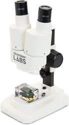 Grand microscope stéréo dinitiation à puissance 20x. Oculaires 10x avec lentilles d’objectif 2x.