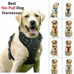 Rabbitgoo No Pull Adjustable Dog Harness - Designed for Your Dog, and You. The back one is great for casual walks,...
