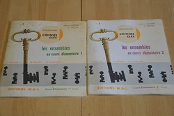 Les Cahiers. Envoi rapide en Mondial relay OU en COlissimo (au choix).