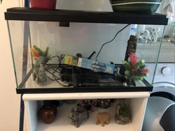 aquarium complet, État Neuf , Avec Décoration Et Pompe Chauler .. 50l